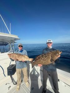 Two large grouper fish caught fishing in Tavernier FL - black grouper and gag grouper displayed on boat deck