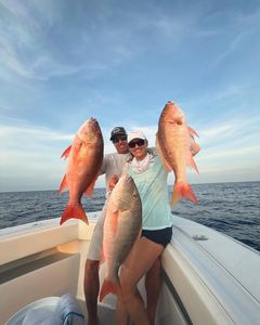 3 fish caught by 2 people in Tavernier, Florida
