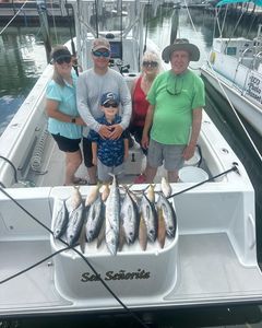 Three fish caught by five people in Tavernier
