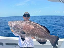 Photograph of a 38-inch Black Grouper caught while fishing in FL