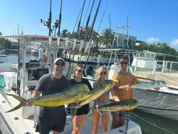 Two magnificent mahi mahi fish caught in FL