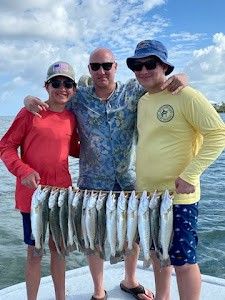3 brown bullhead fish caught at South Padre Island