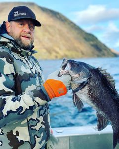 Explore Alaska's Best Charters