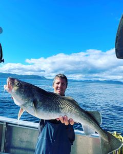 Wild Salmon, Fresh Memories