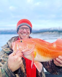 Rockfish in AK