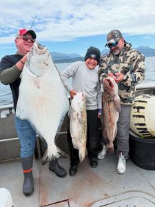 Three Pacific Halibut caught by three people in Alaska