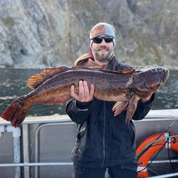 Single angler fishing in Larsen Bay