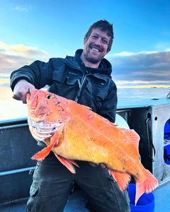 Angler with a 23-inch fish in Larsen Bay