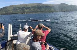 Best fishing trip in AK