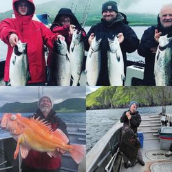 8 chinook salmon, rainbow trout, southern flounder, coho salmon, and rainbow trout in AK
