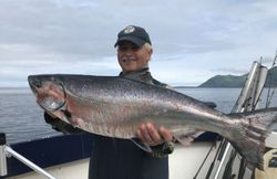 Chinook salmon caught while fishing in Larsen Bay