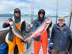 Two rainbow trout being caught while fishing in Alaska