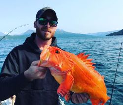 Person fishing at Larsen Bay