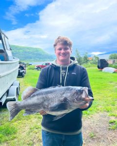 Angler enjoying a day of fishing in Larsen Bay