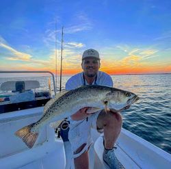 Beautiful Spotted Seatrout Caught in Florida
