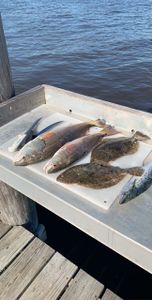 Redfish and more inshore fish species!