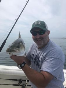 Cape Cod: A haven for fishing enthusiasts