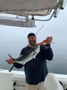 Offshore Majesty: Conquering Bluefish Waters!