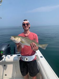 Making waves and catching fish. 