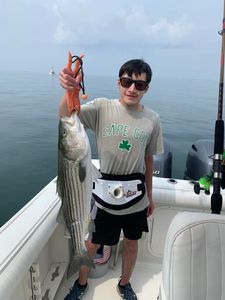Just another perfect day on the bay with a Striper
