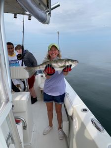 Striped Bass: Catch of a Lifetime!