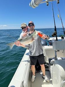 Cape Cod striped bass, catch of the day.