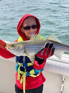 Striped Bass Paradise: Angler's Haven!
