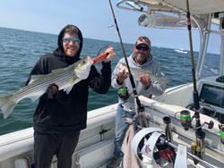 Striped Bass Fishing: Epic Catches Await!