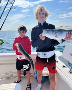 Two anglers fishing in MA