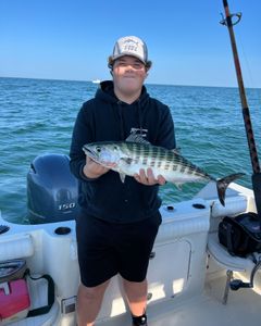 Angler with a 22-inch Atlantic Bonito fish in East Dennis