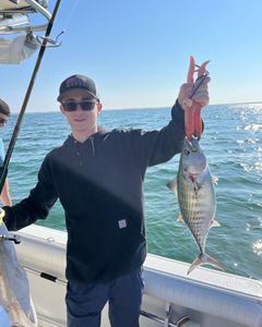 An angler holding a caught Atlantic Bonito fish in MA