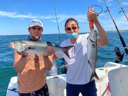 Bluefish Fever: Hooked on Oceanic Excitement!