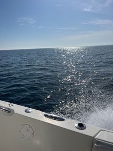 Amazing fishing tour in East Dennis