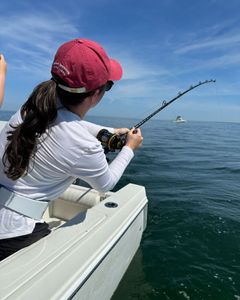 Scenic view of East Dennis fishing tour