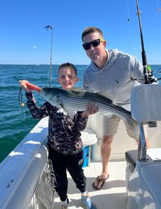 Striped bass caught during fishing tour in East Dennis