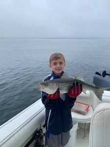 Maximize your catch on Cape Cod fishing charters