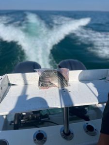 Angler with a fish in MA