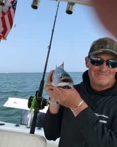 A fishing tour in MA