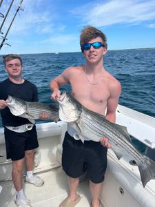 Two striped bass caught during fishing tours in MA