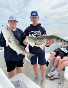 Two striped bass caught on a fishing tour in MA