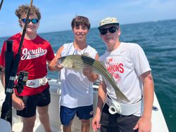 Striped bass caught fishing in MA