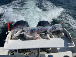 Light tackle action under partly cloudy skies!