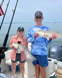 Two striped bass caught during fishing tours in East Dennis