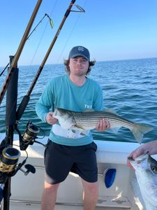 Striped bass caught by angler in MA