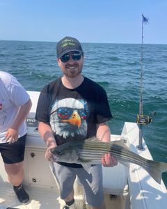 Striped bass caught on fishing tour in East Dennis