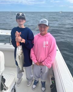 A single striped bass caught in East Dennis