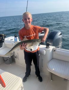 Striped bass caught during fishing tour in East Dennis