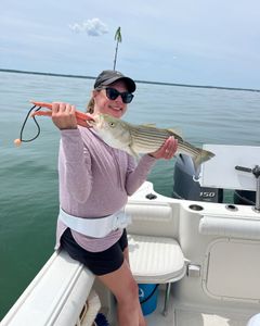 Striped bass caught while fishing in East Dennis