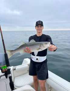 Striped bass caught by angler in East Dennis