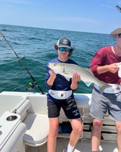 Striped bass caught in East Dennis
